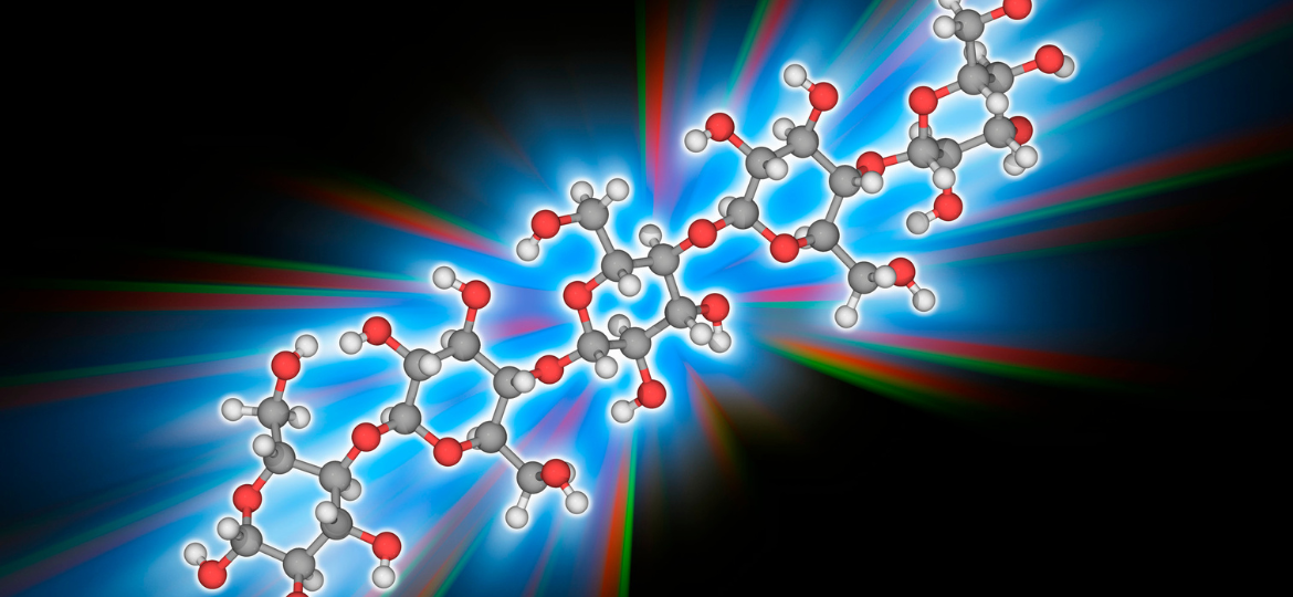 Polysaccharide-based double-grid structure pore-size-adjustable material’s preparation & its applications.