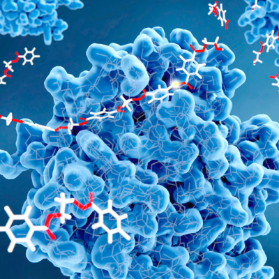 Working towards infinite recycling Engineering enzymes to break down plastics