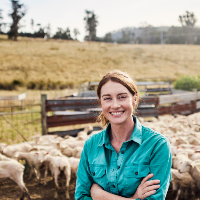 Livestock Photo, Farmer standing in front of her herd of sheep.