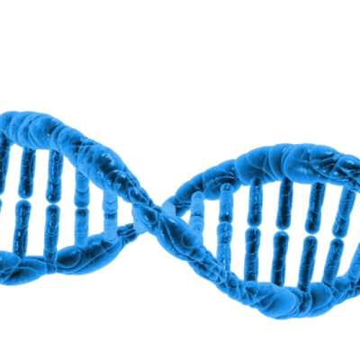 Development and characterisation of DNA aptamers immobilised on gold electrode surfaces for utility in wearable electrochemical biosensors