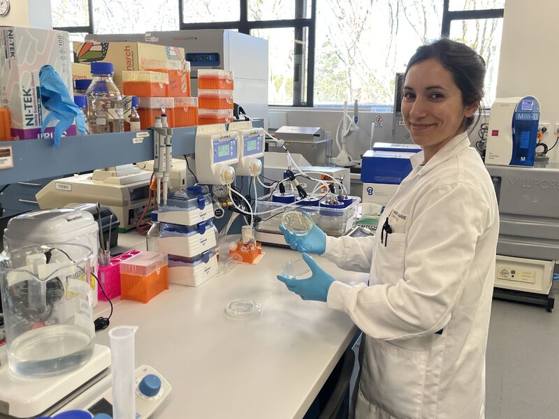 Production of high-value microbial oil using agricultural waste streams Lab Photo