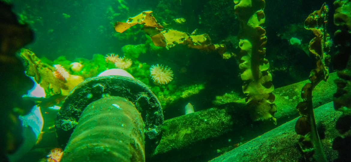 Subsea Gas Pipeline Decommissioning