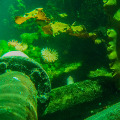 Subsea Gas Pipeline Decommissioning