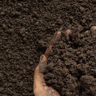 Field Data Back-Analysis to Interpret the Consolidation Behaviour of Vacuum Preloaded Soft Soil Foundations