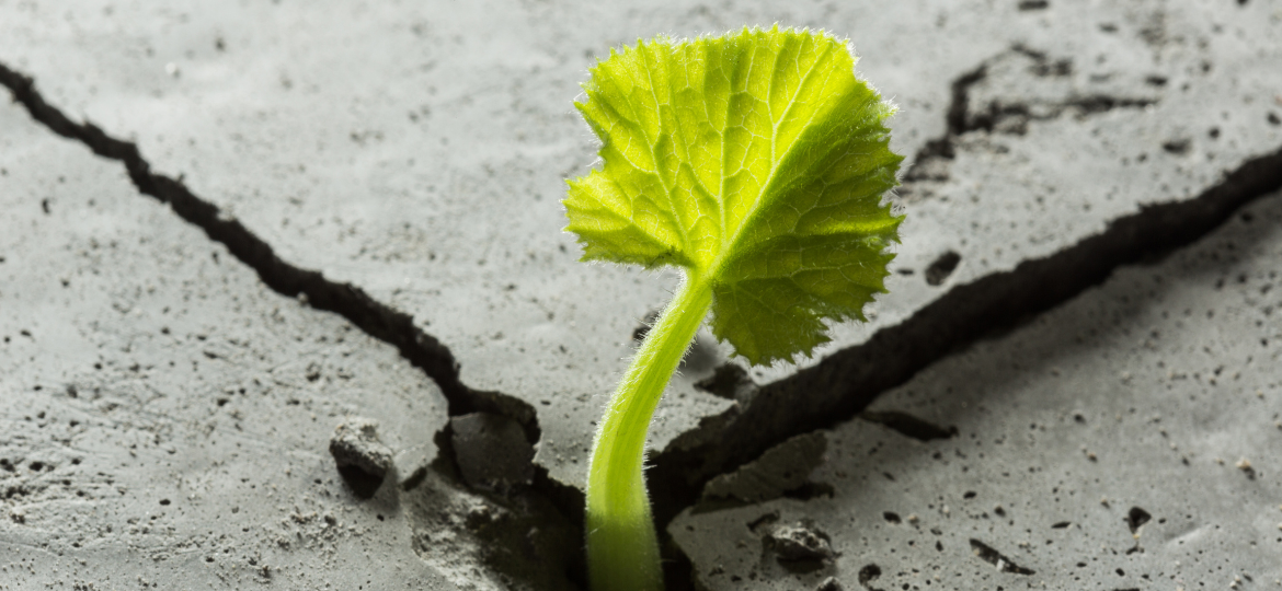 Building digital resiliance for the climate crisis