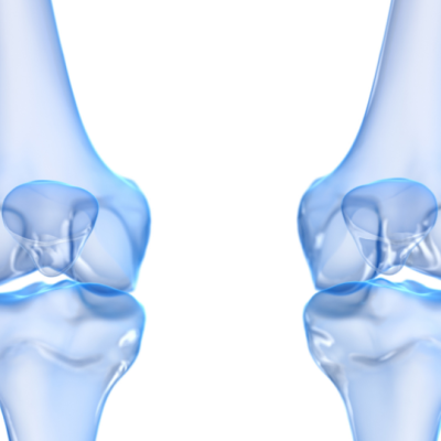 Towards Automated, Generalised and Flexible Bone and Joint Measurements